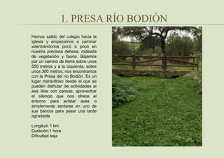 1. PRESA RÍO BODIÓN
Hemos salido del colegio hacia la
iglesia y empezamos a caminar
adentrándonos poco a poco en
nuestra preciosa dehesa, rodeada
de vegetación y fauna. Bajamos
por un camino de tierra sobre unos
500 metros y a la izquierda, sobre
unos 300 metros, nos encontramos
con la Presa del río Bodión. Es un
lugar maravilloso desde el que se
pueden disfrutar de actividades al
aire libre con canoas, aprovechar
el silencio que nos ofrece el
entorno para avistar aves o
simplemente sentarse en uno de
sus bancos para pasar una tarde
agradable.
Longitud: 1 km
Duración:1 hora
Dificultad baja
 