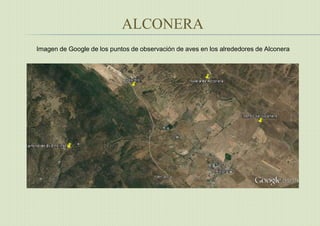 ALCONERA
Imagen de Google de los puntos de observación de aves en los alrededores de Alconera
 