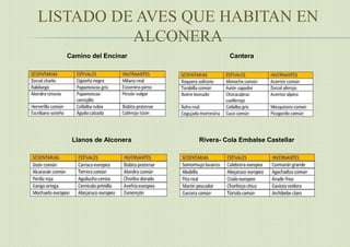 LISTADO DE AVES QUE HABITAN EN
ALCONERA
Camino del Encinar Cantera
Llanos de Alconera Rivera- Cola Embalse Castellar
 