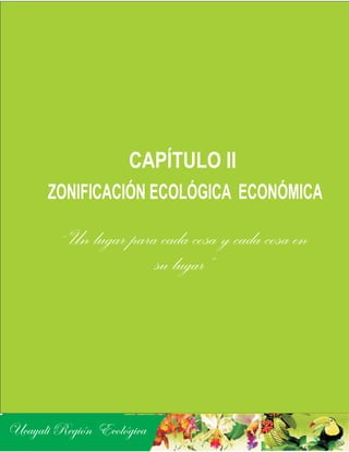 CAPÍTULO II
      ZONIFICACIÓN ECOLÓGICA ECONÓMICA

        “”Un lugar para cada cosa y cada cosa en
                           su lugar”




Ucayali Región Ecológica
 