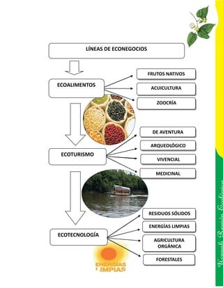 LÍNEAS DE ECONEGOCIOS



                                 FRUTOS NATIVOS

ECOALIMENTOS
                                  ACUICULTURA

                                    ZOOCRÍA




                                  DE AVENTURA

                                  ARQUEOLÓGICO
 ECOTURISMO
                                    VIVENCIAL

                                    MEDICINAL




                                 RESIDUOS SÓLIDOS
                                                    Ucayali Región
                                 ENERGÍAS LIMPIAS
ECOTECNOLOGÍA
                                   AGRICULTURA
                                    ORGÁNICA

                                    FORESTALES
 