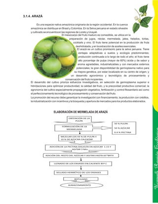 3.1.4. ARAZÁ

          Es una especie nativa amazónica originaria de la región occidental. En la cuenca
    amazónica se distribuye en Brasil y Colombia. En la Selva peruana en estado silvestre
    y cultivado se encuentra en las regiones de Loreto y Ucayali.
                                El mesocarpo del fruto maduro es comestible, se utiliza en la
                                       preparación de jugos, néctar, mermelada, jalea, helados, tortas,
                                           cocktails y vino. El fruto tiene potencial en la producción de fruta
                                             deshidratada, y en la extracción de aceites esenciales.
                                              El arazá es un cultivo promisorio para la selva peruana. Tiene
                                               ventajas adaptativas a suelos y ecología predominantes;
                                               producción continuada a lo largo de todo el año; el fruto tiene
                                               alto porcentaje de pulpa (mayor de 60%) ácida y de sabor y
                                               aroma agradables, industrializables y con mercados externos
                                              potenciales; la gran disponibilidad de germoplasma nativo para
                                            su mejora genética, por estar localizado en su centro de origen; y
                                         un desarrollo agronómico y tecnológico de procesamiento y
                                    conservación del fruto incipientes.
    El desarrollo del cultivo prioriza esfuerzos investigativos, en selección de germoplasma superior e
    hibridaciones para optimizar productividad, la calidad del fruto, y la precocidad productiva comercial; la
    agronomía del cultivo especialmente propagación vegetativa, fertilización y control fitosanitario así como
    el perfeccionamiento tecnológico de procesamiento y conservación del fruto.
    La promoción del recurso debe garantizar la investigación con financiamiento, la producción con créditos,
    la industrialización con incentivos y la búsqueda y apertura de mercados para los productos elaborados.



                        ELABORACIÓN DE MERMELADA DE ARAZÁ
                                      OBTENCIÓN DE LA
                                          PULPA
                                                                               50 % PULPA
                                FORMULACIÓN DE LA
                                                                               50 % AZÚCAR
                                   MERMELADA
                                                                               0.4 % PECTINA

                               MEZCLAR LOS 93 % DE PULPA Y
                               10 % DE AZÚCAR.CALENTAR


                     ADICIÓN DE LA PECTINA DISUELTA EN AZÚCAR 1:15 Y
                                      AGITAR 3 Min.


                 ADICIÓN DEL RESTO DEL AZÚCAR Y AGITAR HASTA 65*BRTX
                                                                                                                  Ucayali Región
                        LLENADO DE LOS ENVASES EN CALIENTE 85º C



                           SELLADO HERMÉTICO DE LOS ENVASES


                                           ROTULADO


                                     ALMACENAMIENTO
 