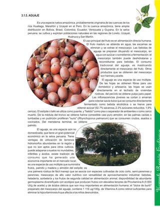 3.1.5. AGUAJE

             Es una especie nativa amazónica, probablemente originaria de las cuencas de los
    ríos Huallaga, Marañón y Ucayali en el Perú. En la cuenca amazónica, tiene amplia
    distribución en Bolivia, Brasil, Colombia, Ecuador, Venezuela y Guyana. En la selva
    peruana, se cultiva y explotan poblaciones naturales en las regiones de Loreto, Ucayali,
                                        Huánuco y San Martín.
                                                       El uso principal del fruto es en alimentación directa humana.
                                                          El fruto maduro se ablanda en agua, las escamas se
                                                              eliminan y se extrae el mesocarpo. Las bebidas de
                                                                 aguaje se preparan diluyendo el mesocarpo, en
                                                                   agua con azúcar o sometiendo a fermentación; el
                                                                    mesocarpo también puede deshidratarse y
                                                                     reconstituirse para bebidas. El consumo
                                                                      tradicional del aguaje, es masticando
                                                                       directamente el mesocarpo del fruto. Otros
                                                                       productos que se obtienen del mesocarpo
                                                                       son harinas y aceite.
                                                                           El aguaje es una especie de uso múltiple.
                                                                          De las hojas se obtienen fibras para uso
                                                                        doméstico y artesanía; las hojas se usan
                                                                       directamente en el techado de viviendas
                                                                     rústicas; del pecíolo se obtiene pulpa para papel.
                                                                  Las inflorescencias jóvenes se cortan o amarran
                                                              para colectar savia dulce que se consume directamente
                                                          fermentado como bebida alcohólica o se hierve para
                                                   obtener azúcar (92.7% sacarosa, 2,3% azúcares reducidos, 1,9%
    ceniza). El estípite o tallo se utiliza como puente, y "batido" como piso o separador de ambientes o como cerco
    muerto. De la médula del tronco se obtiene harina comestible casi puro almidón; en las palmas caídas o
    tumbadas y en pudrición proliferan "suris" (Rhynchoporus palmarum) que se consumen crudos, asados o
    cocinados. Del meristema terminal, se obtiene
    palmito.
              El aguaje, es una especie aún no
    domesticada, que tiene un gran potencial
    económico en la selva peruana. Tiene
    ventajas de utilización de terrenos
    hidromorfos abundantes en la región y
    que no son aptos para otros cultivos;
    puede adaparse a suelos no inundables;
    infértiles y ácidos; existe tradición de
    consumo que ha generado una
    economía importante en el mercado local;
                                                                                                                          Ucayali Región
    es una especie de uso múltiple que suministra
    frutos, palmito y madera y almidón del estípite; es
    una palmera rústica de fácil manejo que se asocia con especies cultivadas de ciclo corto, semi-perennes y
    perennes; mesocarpo de alto valor nutritivo con versatilidad de aprovechamiento industrial: bebidas,
    heladería, sorbetería y los frutos de segunda calidad en alimentación animal; disponibilidad de abundante
    germoplasma diversificado con ecotipos que producen frutos con elevados tenores de Provitamina A (5 000
    UI/g de aceite) y de ácidos oléicos que son muy importantes en alimentación humana; el "dulce de burití"
    preparado del mesocarpo del aguaje, contiene 1 116 ug/100g. de Vitamina A como retinol suficientes para
    eliminar la hipovitaminosis A que afecta a los niños desnutridos.
 