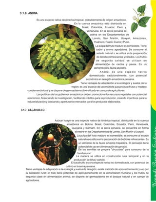 3.1.6. ANONA

              Es una especie nativa de América tropical, probablemente de origen amazónico.
                                              En la cuenca amazónica está distribuida en
                                                     Brasil, Colombia, Ecuador, Perú y
                                                          Venezuela. En la selva peruana se
                                                             cultiva en los Departamentos de
                                                               Loreto, San Martín, Ucayali, Amazonas,
                                                                  Huánuco, Pasco, Cuzco y Puno.
                                                                     La pulpa del fruto maduro es comestible. Tiene
                                                                      sabor y aroma agradables. Se consume al
                                                                       estado natural o se utiliza en la preparación
                                                                       de bebidas refrescantes y helados. Los frutos
                                                                      de segunda calidad se utilizan en
                                                                     alimentación de cerdos y peces. Es un
                                                                    alimento de la fauna silvestre.
                                                                       Anona, es una especie nativa
                                                               domesticada tradicionalmente, con potencial
                                                            económico en la región amazónica peruana.
                                                   Tiene ventajas de adaptación a la ecológica y suelos de la
                                           región; es una especie de uso múltiple que produce frutos y madera
     con demanda local y se dispone de germoplasma diversificado en campo de agricultores.
              Las políticas de los gobiernos amazónicos deben promocionar los recursos vegetales con potencial
     económico, financiando la investigación, facilitando créditos para la producción, creando incentivos para la
     industrialización y buscando y aperturando mercados para los productos elaborados.


3.1.7. CACAHUILLO


                               Azúcar huayo es una especie nativa de América tropical, distribuída en la cuenca
                                        amazónica en Bolivia, Brasil, Colombia, Ecuador, Perú, Venezuela,
                                            Guayana y Surinam. En la selva peruana, se encuentra en forma
                                               silvestre en los Departamentos de Loreto, San Martín y Ucayali.
                                                     La pulpa del fruto maduro es comestible; se consume al estado
                                                      natural o se utiliza en la preparación de bebidas refrescantes. Es
                                                      un alimento de la fauna silvestre trepadora. El pericarpo tiene
                                                      potencial de uso en alimentación de ganado.
                                                      De las semillas se prepara "chocolate" para consumo de la
                                                     familia rural.
                                                    La madera se utiliza en construcción rural temporal y en la            Ucayali Región
                                                  producción de leña y carbón.
                                               El cacahuillo es una especie nativa no domesticada, con potencial de
                                         cultivo en la selva peruana.
    Tiene ventajas de adaptación a la ecología y suelos de la región; existe tradición de aprovechamiento y uso por
    la población rural; el fruto tiene potencial de aprovechamiento en la alimentación humana y los frutos de
    segunda clase en alimentación animal; se dispone de germoplasma en el bosque natural y en campo de
    agricultores.
 