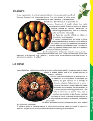 3.1.8. CAINMITO

     Es una especie nativa de América tropical; distribuída en la cuenca amazónica en Brasil,
     Colombia, Ecuador, Perú, Venezuela y Guyana. En la selva peruana se cultiva, en los
                                 Departamentos de Loreto, San Martín, Ucayali y Huánuco.
                                              El endocarpo del fruto maduro es comestible. Se
                                                   consume directamente al estado natural, tiene sabor
                                                       especial muy agradable. En algunos ecotipos, el látex del
                                                          pericarpo dificulta su consumo; aplicaciones de
                                                            substancias grasas a los labios antes de su consumo,
                                                             evitan las molestias del exudado.
                                                             Los frutos de segunda calidad, se utilizan en
                                                             alimentación de cerdos y peces
                                                             El caimito tradicionalmente, se cultiva en forma
                                                            localizada en los huertos familiares y en los bordes de
                                                           los caminos y en forma muy dispersa en los campos de
                                                         cultivos, asociada con diferentes cultivos. Es un árbol de
                                                     porte bajo, de hábito umbrófilo en el inicio de su desarrollo
                                                  y heliofilo en el estadio productivo.
                                            El potencial económico de la especie en la selva peruana, es alto.
                                    Tiene ventajas de adaptación al clima y suelo predominantes; el fruto tiene
     aceptación en el mercado local y externo; y se dispone de un germoplasma diversificando para la
     optimización productiva y de calidad.



3.1.9. CASTAÑA


     La semilla del fruto maduro es comestible se consume cruda, tostada, salada y en la preparación de dulces,
                                             pasteles y helados; existen más de 50 recetas para uso en
                                                    pastelería y confitería.
                                                       Un producto secundario importante de las almendras, es
                                                           el aceite rico en ácidos grasos no saturados que
                                                             contiene, de gran potencial en el mercado de
                                                              alimentos naturales. Tradicionalmente se extrae y
                                                               consume el aceite para consumo y también para el
                                                               alumbrado; industrialmente el aceite tiene valor en
                                                               la fabricación de cosméticos y jabones finos. De la
                                                              torta de almendras se obtiene harina rica en
                                                             proteínas, que se utiliza en panificación mezclada
                                                                                                                      Ucayali Región
                                                          con harina de trigo; la torta puede también utilizarse en
                                                      la fabricación de concentrados de alimentos balanceados
                                                 para ganado.
                                            La semilla, es también un producto alimenticio de la fauna silvestre
     que la consume ávidamente.
     El pericarpo leñoso es fuente de energía, se utiliza como combustible y en la producción de carbón. En
     artesanía, del pericarpo se fabrican numerosos objetos decorativos y de uso doméstico.
 