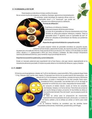 3.1.10.GRANADILLA DE OLOR

              Planta trepadora con tallo leñoso en la base y zarcillos en los ápices.
      No se conoce mucho de la especie, su botánica, fisiología, agronomía e industrialización.
                                     Sin embargo, existe tecnología de especies afines como la
                                              "granadilla dulce" y el "maracuyá", que puede ser
                                                    utilizada como referencia para su validación.
                                                       Formas de utilización :

                                                  Fruta fresca, en refrescos y helados.
                                                   Pulpa para preparar alimentos para infantes
                                                   La pulpa de la granadilla se consume directamente de la fruta.
                                                   También se utiliza para preparar refrescos y helados. Tanto la
                                                   "granadilla dulce" P. ligularis) como la "granadilla de olor" (P.
                                                  nitida) son utilizados en alimentación de infantes con problemas
                                                 estomacales.
                                               Aspectos de agroindustrialización a pequeña escala:

                                        Se puede preparar néctar de granadilla aromática en pequeña escala,
                                 cortando la fruta lavada y separando la pulpa. Se mezcla los arilos y las semillas y
      se pasan por una malla de 0.69 mm, Esta mezcla se lleva con ázucar a 16 1 18 brix. 0.3% de acidez con ácido
      cítrico, diluida a 1:1, pasteurizada a 90ºC por cinco minutos y enlatada. Se debe ensayar temperatura
      menores de tratamiento térmico, para mantener mayor porcentaje del aroma.

      Importancia económica potencial y comercialización:

      Existe un mercado potencial para exportación de la fruta fresca y del jugo natural, especialmente en la
      industria de alimentos para bebé. El néctar se puede utilizar en la industria de refrescos, jugos y helados.


3.1.11. MAMEY

    El fruto es una drupa globosa u oblada, de 7 a 25 cm de diámetro y peso entre 600 y 700 g, pudiendo llegar hasta
    1.0 kg. Cáscara color marrón claro, áspera. El epicarpo duro forma con la parte externa del mesocarpio, una
                                     cáscara de 3 a 4 mm de espesor, rica en fibras y canales de resina y fácilmente
                                         desprendible. La pulpa o mesocarpio es de color amarillo hasta rojizo,
                                            consistencia firme y azucarada. Las semillas de 6 a 8 cm de largo se
                                              presentan en número de uno a cuatro, dispuestas de manera radial.
                                               Se consume al estado natural, cocido en forma de compotas,
                                                mermeladas, helados o en forma de licor. Tiene fama de conservar
                                                por mucho tiempo el sabor y el aroma. En las Antillas se utiliza un
                                                licor perfumado llamado "Eau de Creole", que se prepara a partir de     Ucayali Región
                                                las flores.
                                                El látex se utiliza para la preparación de insecticidas,
                                               especialmente de los parásitos de la piel y de los pies. La madera es
                                              de buena calidad y de la corteza se extrae un tanino para tratar
                                            cueros.
                                          En la medicina folclórica se considera que las semillas tienen
                                       propiedades antieczemas, insecticidas, parasiticidas y vermífugas.
 