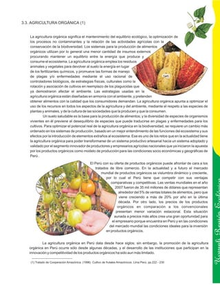 3.3. AGRICULTURA ORGÁNICA (1)


   La agricultura orgánica significa el mantenimiento del equilibrio ecológico, la optimización de
   los procesos no contaminantes y la relación de las actividades agrícolas con la
   conservación de la biodiversidad. Los sistemas para la producción de alimentos
   orgánicos utilizan por lo general una menor cantidad de insumos externos
   procurando mantener un equilibrio entre la energía que produce y
   consume el ecosistema. La agricultura orgánica emplea los residuos
   animales y vegetales para devolver al suelo la energía en lugar
   de los fertilizantes químicos, y promueve las formas de manejo
   de plagas y/o enfermedades mediante el uso racional de
   controladores biológicos, de estrategias físicas, culturales como la
   rotación y asociación de cultivos en reemplazo de los plaguicidas que
   ya demostraron afectar el ambiente. Las estrategias usadas en la
   agricultura orgánica están diseñadas en armonía con el ambiente, y pretenden
   obtener alimentos con la calidad que los consumidores demandan. La agricultura orgánica apunta a optimizar el
   uso de los recursos en todos los aspectos de la agricultura y del ambiente, mediante el respeto a las especies de
   plantas y animales, y de la cultura de las sociedades que la producen y que la consumen.
            Un suelo saludable es la base para la producción de alimentos; y la diversidad de especies de organismos
   vivientes en él previene el desequilibrio de especies que puede traducirse en plagas y enfermedades para los
   cultivos. Para optimizar el potencial real de la agricultura orgánica en la biodiversidad, se requiere un cambio más
   ordenado en los sistemas de producción, basado en un mejor entendimiento de las funciones del ecosistema y sus
   efectos por la introducción de elementos extraños al ecosistema. Ese es uno de los retos que en la actualidad tiene
   la agricultura orgánica para poder transformarse de un sistema productivo artesanal hacia un sistema adoptado y
   validado por el segmento innovador de productores y empresarios agrícolas nacionales que ya iniciaron la apuesta
   por los productos orgánicos como modelo de producción para las condiciones socio económicas y geográficas de
   Perú .

                                                El Perú con su oferta de productos orgánicos puede afrontar de cara a los
                                                   tratados de libre comercio. En la actualidad y a futuro el mercado
                                                       mundial de productos orgánicos se vislumbra dinámico y creciente,
                                                          por lo cual el Perú tiene que competir con sus ventajas
                                                             comparativas y competitivas. Las ventas mundiales en el año
                                                                2007 fueron de 35 mil millones de dólares que representan
                                                                   alrededor del 5% de ventas totales de alimentos, pero que
                                                                   viene creciendo a más de 20% por año en la última
                                                                   década. Por otro lado, los precios de los productos
                                                                  orgánicos en comparación a los convencionales
                                                                 presentan menor variación estacional. Esta situación
                                                               aunada a precios más altos crea una gran oportunidad para
                                                              el empresario porque encuentra en Perú y en las condiciones
                                                                                                                               Ucayali Región
                                                            del mercado mundial las condiciones ideales para la inversión
                                                          en productos orgánicos.


           La agricultura orgánica en Perú data desde hace siglos; sin embargo, la promoción de la agricultura
   orgánica en Perú ocurre sólo desde algunas décadas, y el desarrollo de las instituciones que participan en la
   innovación y competitividad de los productos orgánicos ha sido aun más limitado.

    (1) Tratado de Cooperación Amazónica. (1996) Cultivo de frutales Amazónicos. Lima Perú. pp.222 - 230
 