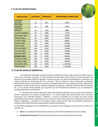 7. PLAN DE OPERACIONES.


      PRODUCCIÓN           LATAS/DIA        PANES/DIA           PANES/SEMA NA-MES-AÑO

   PRIMERA
   SEMANA                        20             640                           4480
   SEGUNDA
   SEMANA                        30             960                           6720
   TERCERA
   SEMANA                        40             1280                          8960
   CUARTA SEMANA                 50             1600                          11200
   SEGUNDO MES                   70             2240                          67200
   TERCER MES                    80             2560                          76800
   CUARTO MES                   100             3200                          96000
   QUINTO MES                   120             3840                         115200
   SEXTO MES                    150             4800                         144000
   SEPTIMO MES                  180             5760                         172800
   OCTAVO MES                   200             6400                         192000
   NOVENO MES                   200             6400                         192000
   DÉCIMO MES                   200             6400                         192000
   ONCEAVO MES                  200             6400                         192000
   DOCEAVO MES                  200             6400                         192000
   SEGUNDO AÑO                  200             6400                        2 336 000
   TERCER AÑO                   200             6400                        2 336 000

8. PLAN DE MANEJO AMBIENTAL.

           Los problemas ambientales, por ende sociales y económicos, son tan antiguos como el hombre, lo que es
   nuevo es su dimensión, su escala. El tema ambiental durante estos últimos años ha tomado prioridad en la
   agenda de los grandes problemas globales, mientras que para los países industrializados lo relacionan a la
   calidad ambiental, las condiciones del aire y del agua. Para los países en vías de desarrollo, el problema
   ambiental está ligado a los problemas que genera el subdesarrollo como son: pérdida de suelos, destrucción ó
   explotación irracional de los recursos naturales, pérdida de los bosques, problemas sanitarios, falta de viviendas
   etc., que se pueden añadir aquellos que se generan por los “Proyectos de Desarrollo” que no consideran la
   variable ambiental en su planificación.
            El ecosistema de nuestra región por lo tanto está seriamente afectado, aunque como todo ecosistema,
   tiende a regenerarse, el proceso de regeneración en nuestra región está siendo frenado por el excesivo
   crecimiento de la actividad agrícola y maderera. Y aunque el pandisho es una planta que tiene buenas
   posibilidades reproductivas, las plántulas que van creciendo como consecuencia de su reproducción natural, son
                                                                                                                        Ucayali Región
   taladas, maltratadas y muertas en los primeros meses o años de vida. Esto está afectando seriamente y
   podríamos decir hasta cierto punto está poniendo en peligro a esta planta.
   Los beneficios esperados con la reforestación con pandisho en las márgenes de los terrenos de cultivo son
   variados; así:

      o    Abono: La putrefacción de las hojas muertas en el suelo nutre las plantas que crecen por debajo.

      o    Estabilización del suelo: El crecimiento lateral de las raíces del pandisho evita la erosión.
 
