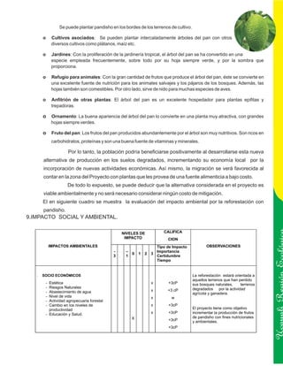 Se puede plantar pandisho en los bordes de los terrenos de cultivo.

            o        Cultivos asociados: Se pueden plantar intercaladamente árboles del pan con otros
                     diversos cultivos como plátanos, maíz etc.

            o        Jardines: Con la proliferación de la jardinería tropical, el árbol del pan se ha convertido en una
                     especie empleada frecuentemente, sobre todo por su hoja siempre verde, y por la sombra que
                     proporciona.

            o        Refugio para animales: Con la gran cantidad de frutos que produce el árbol del pan, éste se convierte en
                     una excelente fuente de nutrición para los animales salvajes y los pájaros de los bosques. Además, las
                     hojas también son comestibles. Por otro lado, sirve de nido para muchas especies de aves.

            o        Anfitrión de otras plantas: El árbol del pan es un excelente hospedador para plantas epifitas y
                     trepadoras.

            o        Ornamento: La buena apariencia del árbol del pan lo convierte en una planta muy atractiva, con grandes
                     hojas siempre verdes.

            o        Fruto del pan: Los frutos del pan producidos abundantemente por el árbol son muy nutritivos. Son ricos en
                     carbohidratos, proteínas y son una buena fuente de vitaminas y minerales.

                             Por lo tanto, la población podría beneficiarse positivamente al desarrollarse esta nueva
            alternativa de producción en los suelos degradados, incrementando su economía local por la
            incorporación de nuevas actividades económicas. Así mismo, la migración se verá favorecida al
            contar en la zona del Proyecto con plantas que les provea de una fuente alimenticia a bajo costo.
                             De todo lo expuesto, se puede deducir que la alternativa considerada en el proyecto es
            viable ambientalmente y no será necesario considerar ningún costo de mitigación.
            El en siguiente cuadro se muestra la evaluación del impacto ambiental por la reforestación con
            pandisho.
9.IMPACTO SOCIAL Y AMBIENTAL.

                                                            NIVELES DE             CALIFICA
                                                             IMPACTO                 CION
                    IMPACTOS AMBIENTALES                                       Tipo de Impacto          OBSERVACIONES
                                                    -        –                 Importancia
                                                                 0   1   2   3
                                                        –




                                                    3   2    1                 Certidumbre
                                                                               Tiempo




                                                                                                                                       Ucayali Región
   A.   -   SOCIO ECONÓMICOS                                                                     La reforestación estará orientada a
                                                                                                 aquellos terrenos que han perdido
                - Estética                                                   x       +3cP        sus bosques naturales,     terrenos
                - Riesgos Naturales                                                              degradados por la actividad
                - Abastecimiento de agua                                     x       +3 cP
                                                                                                 agrícola y ganadera.
                - Nivel de vida                                              x        w
                - Actividad agropecuaria forestal
                - Cambio en los niveles de                                   x       +3cP
                  productividad                                                                  El proyecto tiene como objetivo
                - Educación y Salud.                                         x       +3cP        incrementar la producción de frutos
                                                                 X                               de pandisho con fines nutricionales
                                                                                     +3cP        y ambientales.
                                                                                     +3cP
 