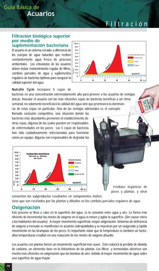 Filtración biológica superior
por medio de
suplementación bacteriana
El acuario es un sistema cerrado, a diferencia de
los cuerpos de agua naturales que reciben
constantemente agua fresca de procesos
ambientales. Los entusiastas de los acuarios
deben incluir mantenimiento regular de filtros,
cambios parciales de agua y suplementos
regulares de bacterias óptimas para asegurar la
calidad superior del agua.
Nutrafin Cycle incorpora 5 cepas de
bacterias en una concentración extremadamente alta para proveer a los acuarios de ventajas
únicas. Inocular el acuario con las más eficientes cepas de bacterias benéficas a un ritmo
semanal, no solamente beneficiará la calidad del agua sino que promoverá la dominan-
cia de estas cepas en particular. Una de las ventajas adicionales es el concepto
llamado exclusión competitiva, una situación donde las
bacterias más abundantes previenen el establecimiento de
otras cepas, algunas de las cuales pueden ser responsables
de enfermedades en los peces. Las 5 cepas de bacterias
han sido cuidadosamente seleccionadas para funcionar
como un equipo. Algunas son responsables de degradar los
residuos orgánicos de
peces y plantas, y otras
convierten los subproductos resultantes en componentes inofen-
sivos que son reciclados por las plantas y diluidos en los cambios parciales regulares de agua.
Oxigenación
Este proceso se lleva a cabo en la superficie del agua, es la conexión entre agua y aire. La forma más
eficiente de incrementar los niveles de oxígeno en el agua es mover y agitar la superficie. (Sin causar estrés
a los habitantes del acuario). A mayor movimiento superficial, mayor oxigenación. Síntomas de deficiencia
de oxígeno a menudo se manifiestan en acuarios sobrepoblados y se muestran por un exagerado y rápido
movimiento en las branquias de los peces. Es importante notar que la temperatura es también un factor,
altas temperaturas resultan en una reducción de los niveles de oxígeno disuelto.
Los acuarios con plantas tienen un movimiento superficial más suave. Esto reducirá la perdida de dióxido
de carbono, un elemento clave en la fotosíntesis de las plantas. Los filtros y termostatos eléctricos son
mucho más eficientes en oxigenación que las bombas de aire, debido al mayor movimiento de agua sobre
una superficie de agua mayor.
0 10 20 30 40 50
1.0
0
2.0
3.0
4.0
5.0
6.0
7.0
8.0
9.0
10.0
dias
Insuficiente
Límite
Seguro
Con Uso de Cycle
mg/Litre
NITRATO
N
ITRITO
A
M
O
NÍACO
FILTRACIÓN BIOLÓGICA
FILTRACIÓN BIOLÓGICA
Normal vs. Adición
de Cycle
Acuarios
Guía Básica de
F i l t r a c i ó n
0 10 20 30 40 50
1.0
0
2.0
3.0
4.0
5.0
6.0
7.0
8.0
9.0
10.0
dias
Insuficiente
Límite
Seguro
mg/Litre NITRATO
N
ITRITO
A
M
ONÍACO
FILTRACIÓN BIOLÓGICA
10
 