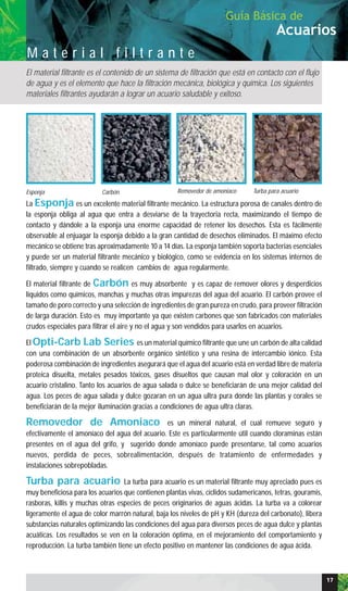 Acuarios
Guía Básica de
M a t e r i a l f i l t r a n t e
El material filtrante es el contenido de un sistema de filtración que está en contacto con el flujo
de agua y es el elemento que hace la filtración mecánica, biológica y química. Los siguientes
materiales filtrantes ayudarán a lograr un acuario saludable y exitoso.
17
Esponja Carbón Removedor de amoniaco Turba para acuario
La Esponja es un excelente material filtrante mecánico. La estructura porosa de canales dentro de
la esponja obliga al agua que entra a desviarse de la trayectoria recta, maximizando el tiempo de
contacto y dándole a la esponja una enorme capacidad de retener los desechos. Esta es fácilmente
observable al enjuagar la esponja debido a la gran cantidad de desechos eliminados. El máximo efecto
mecánico se obtiene tras aproximadamente 10 a 14 días. La esponja también soporta bacterias esenciales
y puede ser un material filtrante mecánico y biológico, como se evidencia en los sistemas internos de
filtrado, siempre y cuando se realicen cambios de agua regularmente.
El material filtrante de Carbón es muy absorbente y es capaz de remover olores y desperdicios
líquidos como químicos, manchas y muchas otras impurezas del agua del acuario. El carbón provee el
tamaño de poro correcto y una selección de ingredientes de gran pureza en crudo, para proveer filtración
de larga duración. Esto es muy importante ya que existen carbones que son fabricados con materiales
crudos especiales para filtrar el aire y no el agua y son vendidos para usarlos en acuarios.
El Opti-Carb Lab Series es un material químico filtrante que une un carbón de alta calidad
con una combinación de un absorbente orgánico sintético y una resina de intercambio iónico. Esta
poderosa combinación de ingredientes asegurará que el agua del acuario está en verdad libre de materia
proteica disuelta, metales pesados tóxicos, gases disueltos que causan mal olor y coloración en un
acuario cristalino. Tanto los acuarios de agua salada o dulce se beneficiarán de una mejor calidad del
agua. Los peces de agua salada y dulce gozaran en un agua ultra pura donde las plantas y corales se
beneficiarán de la mejor iluminación gracias a condiciones de agua ultra claras.
Removedor de Amoniaco es un mineral natural, el cual remueve seguro y
efectivamente el amoníaco del agua del acuario. Este es particularmente útil cuando cloraminas están
presentes en el agua del grifo, y sugerido donde amoníaco puede presentarse, tal como acuarios
nuevos, perdida de peces, sobrealimentación, después de tratamiento de enfermedades y
instalaciones sobrepobladas.
Turba para acuario La turba para acuario es un material filtrante muy apreciado pues es
muy beneficiosa para los acuarios que contienen plantas vivas, cíclidos sudamericanos, tetras, gouramis,
rasboras, killis y muchas otras especies de peces originarios de aguas ácidas. La turba va a colorear
ligeramente el agua de color marrón natural, baja los niveles de pH y KH (dureza del carbonato), libera
substancias naturales optimizando las condiciones del agua para diversos peces de agua dulce y plantas
acuáticas. Los resultados se ven en la coloración óptima, en el mejoramiento del comportamiento y
reproducción. La turba también tiene un efecto positivo en mantener las condiciones de agua ácida.
 
