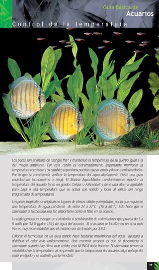 Acuarios
Guía Básica de
C o n t r o l d e l a t e m p e r a t u r a
Los peces son animales de “sangre fría” y mantienen la temperatura de su cuerpo igual a la
del medio ambiente. Por esta razón es extremadamente importante mantener la
temperatura constante. Los cambios repentinos pueden causar estrés y llevar a enfermedades.
Por lo que se recomienda verificar la temperatura del agua diariamente. Existe una gran
variedad de termómetros a elegir. El Marina Aqua-Minder constantemente muestra la
temperatura del acuario tanto en grados Celsius o Fahrenheit y tiene una alarma ajustable
para baja o alta temperatura que se activa con sonido y luces al salirse del rango
programado de temperaturas.
Los peces tropicales se originan en lugares de climas cálidos y templados, por lo que requieren
una temperatura de agua constante de entre 24 a 27°C (75 a 80°F). Esto hace que el
calentador o termostato sea tan importante como el filtro en su acuario.
La regla general es escoger un calentador o combinación de calentadores que provea de 3 a
5 watts por 3.8 lt (galón U.S.) de agua del acuario. Si el acuario se localiza en un área más
fría es muy recomendable que el mínimo sea de 5 watts por 3,8 lt.
Colocar el termostato en un área donde haya bastante movimiento del agua ayudará a
distribuir el calor más uniformemente. Una creencia errónea es que se desconecta el
calentador cuando hay clima más cálido, esto NUNCA debe hacerse. El calentador provee la
estabilidad de la temperatura, al no permitir que la temperatura del acuario caiga debajo del
valor prefijado y se controla por termostato
19
 