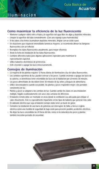 Acuarios
Guía Básica de
I l u m i n a c i ó n
Como maximizar la eficiencia de la luz fluorescente
• Mantener cualquier vidrio entre el tubo y la superficie del agua libre de algas y depósitos minerales
• Limpiar la superficie del tubo semanalmente. (Con una esponja suave humedecida)
• Si los tubos o los lentes acumularan depósitos minerales, limpiar con un ácido suave.
• En situaciones que requieran intensidades lumínicas mayores, se recomienda alinear las lámparas
fluorescentes con un reflector.
• Reemplace los tubos fluorescentes anualmente, para mayor eficiencia.
• Anote la fecha de instalación de los tubos fluorescentes.
• Combine diferentes tubos para algunas aplicaciones especiales para maximizar la
representación espectral.
• Utilice balastros electrónicos de preferencia.
• Evite encender o apagar las luces innecesariamente.
Consejos de iluminación
• La mayoría de las plantas requiere 12 horas diarias de iluminación o luz de tubos fluorescentes.
• Los cambios repentinos de luz, pueden estresar a los peces. Cuando encienda o apague las luces de
la cubierta, es beneficioso tener encendidas las luces de la habitación por al menos 30 minutos.
• Los peces alimentados de día deben tener 30 minutos de luz antes y después de alimentarse.
• Utilice sincronizadores cuando sea posible, las plantas y peces responden mejor a los períodos
consistentes de luz.
• Plantas y peces se adaptan a los cambios de luz. Cuando cambie los tubos en una instalación
múltiple, hágalo escalonadamente con una o dos semanas de diferencia.
• El balastro remoto debe ser montado en áreas donde la ventilación sea adecuada para disipar el
calor eficazmente. Esto es especialmente importante en los tipos de balastro que generan más calor.
• El cableado eléctrico que vaya al balastro siempre debe tener un bucle de goteo.
• Considere la instalación de una barra de potencia con interruptor de fallas a tierra o regleta
eléctrica como una medida de seguridad de bajo costo para prevenir posibles accidentes eléctricos.
• No dejar las luces encendidas las 24 horas del día, como en la naturaleza los peces y plantas
también necesitan períodos de oscuridad.
23
 