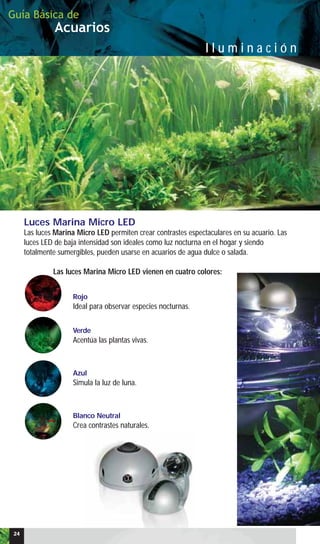 Acuarios
Guía Básica de
I l u m i n a c i ó n
24
Luces Marina Micro LED
Las luces Marina Micro LED permiten crear contrastes espectaculares en su acuario. Las
luces LED de baja intensidad son ideales como luz nocturna en el hogar y siendo
totalmente sumergibles, pueden usarse en acuarios de agua dulce o salada.
Las luces Marina Micro LED vienen en cuatro colores:
Rojo
Ideal para observar especies nocturnas.
Verde
Acentúa las plantas vivas.
Azul
Simula la luz de luna.
Blanco Neutral
Crea contrastes naturales.
 