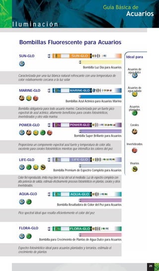 SUN-GLO
MARINE-GLO
POWER-GLO
LIFE-GLO
AQUA-GLO
FLORA-GLO
Bombilla Luz Día para Acuarios
Bombillas Azul Actínico para Acuarios Marino
Bombilla Super Brillante para Acuarios
Bombilla Premium de Espectro Completo para Acuarios
Bombilla Resaltadora de Color del Pez para Acuarios
Bombilla para Crecimeinto de Plantas de Agua Dulce para Acuarios
Bombillas Fluorescente para Acuarios
Ideal para
Acuarios de
agua dulce
Acuarios de
agua salada
Acuarios
plantados
Corales
Invertebrados
Vivarios
Caracterizada por una luz blanca natural refrescante con una temperatura de
color relativamente cercana a la luz solar
Pico spectral ideal que resalta eficientemente el color del pez
Espectro fotosintético ideal para acuarios plantados y terrarios, estimula el
crecimiento de plantas
Bombilla obligatoria para todo acuario marino. Caracterizada por un fuerte pico
espectral de azul actínico, altamente beneficioso para corales fotosintéticos,
invertebrados y otro vida marina.
Proporciona un componente espectral azul fuerte y temperatura de color alta,
excelente para corales fotosintéticos mientras que intensifica los colores del pez.
Color fiel reproducido, imita muy bien la luz del sol al mediodía. Luz de espectro completa con
alta potencia de salida, estimula efectivamente procesos fotosintéticos en plantas, corales y otros
invertebrados.
Acuarios
Guía Básica de
I l u m i n a c i ó n
25
 