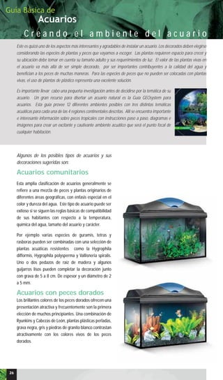Acuarios
Guía Básica de
C r e a n d o e l a m b i e n t e d e l a c u a r i o
Este es quizá uno de los aspectos más interesantes y agradables de instalar un acuario. Los decorados deben elegirse
considerando las especies de plantas y peces que vayamos a escoger. Las plantas requieren espacio para crecer y
su ubicación debe tomar en cuenta su tamaño adulto y sus requerimientos de luz. El valor de las plantas vivas en
el acuario va más allá de ser simple decorado, por ser importantes contribuyentes a la calidad del agua y
benefician a los peces de muchas maneras. Para las especies de peces que no pueden ser colocadas con plantas
vivas, el uso de plantas de plástico representa una excelente solución.
Es importante llevar cabo una pequeña investigación antes de decidirse por la temática de su
acuario. Un gran recurso para diseñar un acuario natural es la Guía GEOsystem para
acuarios. Esta guía provee 12 diferentes ambientes posibles con tres distintas temáticas
acuáticas para cada una de las 4 regiones continentales descritas. Allí se encuentra importante
e interesante información sobre peces tropicales con instrucciones paso a paso, diagramas e
imágenes para crear un excitante y cautivante ambiente acuático que será el punto focal de
cualquier habitación.
Algunos de los posibles tipos de acuarios y sus
decoraciones sugeridas son:
Acuarios comunitarios
Esta amplia clasificación de acuarios generalmente se
refiere a una mezcla de peces y plantas originarios de
diferentes áreas geográficas, con énfasis especial en el
color y dureza del agua. Este tipo de acuario puede ser
exitoso si se siguen las reglas básicas de compatibilidad
de sus habitantes con respecto a la temperatura,
química del agua, tamaño del acuario y carácter.
Por ejemplo varias especies de guramis, tetras y
rasboras pueden ser combinadas con una selección de
plantas acuáticas resistentes como la Hygrophila
difformis, Hygrophila polysperma y Vallisneria spiralis.
Uno o dos pedazos de raíz de madera y algunos
guijarros lisos pueden completar la decoración junto
con grava de 5 a 8 cm. De espesor y un diámetro de 2
a 5 mm.
Acuarios con peces dorados
Los brillantes colores de los peces dorados ofrecen una
presentación atractiva y frecuentemente son la primera
elección de muchos principiantes. Una combinación de
Ryunkins y Cabezas de León, plantas plásticas perladas,
grava negra, gris y piedras de granito blanco contrastan
atractivamente con los colores vivos de los peces
dorados.
26
 