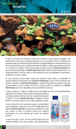 Acuarios
Guía Básica de
A g u a
El agua es el elemento más importante y básico para mantener un acuario exitoso y saludable. Hay
muchos factores que afectan la calidad del agua para usar en los acuarios. El Cloro y la Cloramina son
agregados al agua para eliminar las bacterias dañinas en el agua potable para el consumo humano, pero
son muy tóxicos para los peces, las bacterias beneficiosas y plantas. Cuando vaya a instalar por primera
vez su acuario y en cualquier cambio parcial de agua que haga, siempre use Nutrafin Aqua Plus para
hacer del agua de grifo segura. El Nutrafin Aqua Plus también contiene Extractos Herbales Puros una
fórmula patentada en USA que reduce el estrés cuando los peces son manipulados, transportados o
introducidos en nuevos acuarios.
En áreas específicas del país donde el agua tiene cloramina, siempre utilice un neutralizador de
cloramina altamente concentrado como el Nutrafin ChlorXChange así como medios de filtración que
eliminen el amoniaco. El Nutrafin ChlorXChange es también recomendado para preparar agua para
acuarios marinos. Los iones metálicos presentes en el agua del grifo son quelados por el Nutrafin
ChlorXChange que los hace disponibles para que las plantas los consuman.
El agua de grifo que se origina en embalses puede estar plagada de otros elementos potencialmente
indeseables como fosfatos, nitratos, niveles extremadamente altos de
metales (por ejemplo Hierro) y numerosos componentes inorgánicos
y orgánicos. El uso de Nutrafin Aqua Plus es obligatorio e incluso
puede ser necesario considerar el uso de filtros especiales en el grifo.
El uso de tubería de cobre en plomería puede ser potencialmente
letal, especialmente en agua suave. Sería recomendable utilizar dosis
dobles de Nutrafin Aqua Plus y usar generosas cantidades de carbón
para remover el cobre. En acuarios marinos que contienen
invertebrados esta es una situación que requiere de cuidadosa
atención.
La dureza del agua y el pH son dos parámetros básicos que son
fácilmente medibles con los kits de prueba y son importantes para
30
 