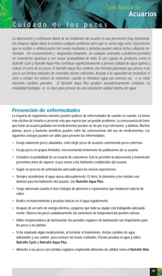 Prevención de enfermedades
La mayoría de organismos vivientes pueden padecer de enfermedades de cuando en cuando. La forma
más efectiva de tratarlo es prevenir más que esperar por un posible problema. La consecuencia de tener
que tratar un acuario poblado con medicamentos pueden ser de por si ya estresantes y dañinas. Muchas
plantas, peces y bacterias benéficas pueden sufrir las consecuencias del uso de medicamentos. Los
siguientes consejos pueden ser útiles para prevenir las enfermedades:
• Escoja solamente peces saludables, evite elegir peces de acuarios conteniendo peces enfermos.
• Escoja peces en grupos limitados, incrementando lentamente las poblaciones de su acuario.
• Considere la posibilidad de un acuario de cuarentena. Esto le permitirá la observación y tratamiento
preventivo antes de exponer el pez nuevo a los habitantes establecidos del acuario.
• Seguir un proceso de aclimatación adecuado para los nuevos especimenes.
• Siempre acondicione el agua nueva adecuadamente. El cloro, la cloramina y los metales son
dañinos para los habitantes del acuario. Use Nutrafin Aqua Plus.
• Tenga extremada cautela si hace trabajos de plomería o reparaciones que involucren tubería de
cobre.
• Realice el mantenimiento y pruebas básicas en el agua regularmente.
• Después de un corte de energía eléctrica, asegúrese que todo su equipo está trabajando adecuada-
mente. Observe los peces cuidadosamente, las variaciones de temperatura los pueden estresar.
• Utilice temporizadores de iluminación, los períodos regulares de iluminación son importantes para
los peces y las plantas.
• Si ha empleado algún medicamento, al terminar el tratamiento, efectúe cambios de agua
adicionales y use carbón para remover las trazas residuales. Efectúe pruebas al agua y utilice
Nutrafin Cycle y Nutrafin Aqua Plus.
• Alimente a sus peces con comidas regulares empleando alimentos de calidad como el Nutrafin Max.
La observación y verificación diaria de los habitantes del acuario es una prevención muy importante.
Un chequeo rápido diario le revelará cualquier problema antes que se vuelva algo serio. Especimenes
que se ocultan o exhiben partes del cuerpo mutiladas o dañadas pueden indicar lucha y disputas ter-
ritoriales. Un reconocimiento y diagnóstico temprano de cualquier anomalía o problema permitirá
un tratamiento oportuno y con mayor probabilidad de éxito. El uso regular de productos como el
Nutrafin Cycle y Nutrafin Aqua Plus contribuye significativamente a proveer calidad de agua óptima y
reducir el estrés de los peces. El Nutrafin Aqua Plus contiene una formula patentada que provee a los
peces con hierbas naturales de conocidos efectos calmantes. Aunada a la capacidad de neutralizar el
cloro y romper los enlaces de cloramina, cuando se introduce agua por primera vez, o se están
haciendo cambios parciales. El Nutrafin Aqua Plus produce acondicionamiento completo. La
estabilidad biológica es la clave para proveer de una consistente calidad óptima del agua.
Acuarios
Guía Básica de
C u i d a d o d e l o s p e c e s
39
 