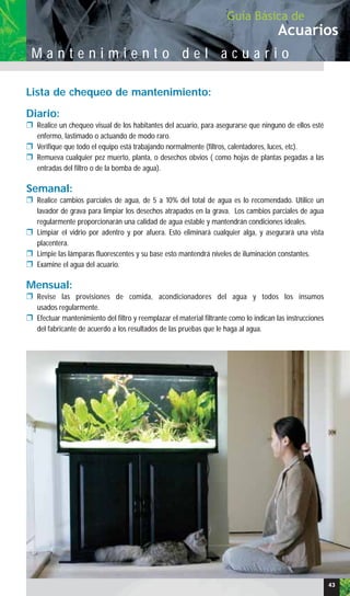 Lista de chequeo de mantenimiento:
Diario:
❒ Realice un chequeo visual de los habitantes del acuario, para asegurarse que ninguno de ellos esté
enfermo, lastimado o actuando de modo raro.
❒ Verifique que todo el equipo está trabajando normalmente (filtros, calentadores, luces, etc).
❒ Remueva cualquier pez muerto, planta, o desechos obvios ( como hojas de plantas pegadas a las
entradas del filtro o de la bomba de agua).
Semanal:
❒ Realice cambios parciales de agua, de 5 a 10% del total de agua es lo recomendado. Utilice un
lavador de grava para limpiar los desechos atrapados en la grava. Los cambios parciales de agua
regularmente proporcionarán una calidad de agua estable y mantendrán condiciones ideales.
❒ Limpiar el vidrio por adentro y por afuera. Esto eliminará cualquier alga, y asegurará una vista
placentera.
❒ Limpie las lámparas fluorescentes y su base esto mantendrá niveles de iluminación constantes.
❒ Examine el agua del acuario.
Mensual:
❒ Revise las provisiones de comida, acondicionadores del agua y todos los insumos
usados regularmente.
❒ Efectuar mantenimiento del filtro y reemplazar el material filtrante como lo indican las instrucciones
del fabricante de acuerdo a los resultados de las pruebas que le haga al agua.
Acuarios
Guía Básica de
M a n t e n i m i e n t o d e l a c u a r i o
43
 