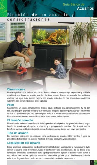 Dimensiones
El área superficial del acuario es importante. Esto contribuye a proveer mayor oxigenación y facilita la
creación de una decoración acuática atractiva. La altura también debe ser considerada. Los ambientes
marinos y de agua dulce pueden mejorar con acuarios más altos, lo cual proporciona condiciones
superiores para ciertas especies de peces y plantas.
Peso
Generalmente un acuario completamente lleno de agua e instalado pesa aproximadamente 1.2 Kg. por
litro. (10 libras por galón) Es necesario usar un mueble o soporte adecuado para acuarios e igualmente
verificar la capacidad del piso para resistir el peso. Colocar el acuario en muebles comunes de casa como
libreras o roperos no es recomendable debido al peso de un acuario completo.
El tamaño correcto
El tamaño del acuario está frecuentemente limitado por el espacio disponible. En general seleccione el mayor
tamaño de acuario que el espacio, la ubicación y el presupuesto le permitan. Esto le dará muchos
beneficios, como un ambiente más estable, mayor elección de peces y plantas, y un mayor valor estético.
Tipo de acuario
Dos materiales básicos son los empleados en la construcción de acuarios, vidrio y acrílico. El vidrio es
preferible debido al costo y la superior habilidad de resistir los rayones y la decoloración
Localización del Acuario
Escoja un área en su casa donde pueda disfrutar mejor la belleza y serenidad de su nuevo acuario. Evite
colocar su acuario cerca de ventanas, tubos de calefacción y aire acondicionado. La luz directa y los
cambios de temperatura pueden llevar a una rápida proliferación de algas en su acuario, y sobre plantas y
decoraciones. Los cambios rápidos de temperatura son dañinos para los peces. También se recomienda
evitar áreas de gran actividad en la casa para prever contacto accidental con su acuario.
Acuarios
Guía Básica de
55
E l e c c i ó n d e u n a c u a r i o y
c o n s i d e r a c i o n e s
 