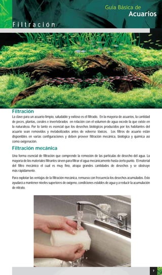Filtración
La clave para un acuario limpio, saludable y exitoso es el filtrado. En la mayoría de acuarios, la cantidad
de peces, plantas, corales e invertebrados en relación con el volumen de agua excede la que existe en
la naturaleza. Por lo tanto es esencial que los desechos biológicos producidos por los habitantes del
acuario sean removidos y metabolizados antes de volverse tóxicos. Los filtros de acuario están
disponibles en varias configuraciones y deben proveer filtración mecánica, biológica y química así
como oxigenación.
Filtración mecánica
Una forma esencial de filtración que comprende la remoción de las partículas de desecho del agua. La
mayoría de los materiales filtrantes sirven para filtrar el agua mecánicamente hasta cierto punto. El material
del filtro mecánico el cual es muy fino, atrapa grandes cantidades de desechos y se obstruye
más rápidamente.
Para explotar las ventajas de la filtración mecánica, remueva con frecuencia los desechos acumulados. Esto
ayudará a mantener niveles superiores de oxígeno, condiciones estables de agua y a reducir la acumulación
de nitrato.
77
Acuarios
Guía Básica de
F i l t r a c i ó n
 