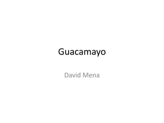 Guacamayo
David Mena
 