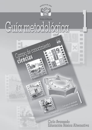GUÍA METODOLÓGICA Nº 1
Ciclo Avanzado - Campo de conocimiento: Ciencias 1
 