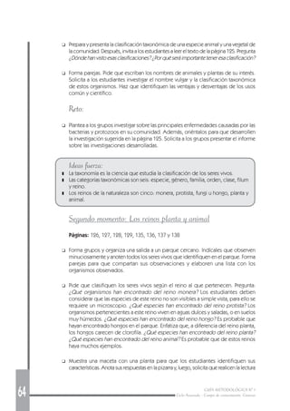 64 GUÍA METODOLÓGICA Nº 1
Ciclo Avanzado - Campo de conocimiento: Ciencias
❑ Prepara y presenta la clasificación taxonómica de una especie animal y una vegetal de
la comunidad. Después, invita a los estudiantes a leer el texto de la página 125. Pregunta
¿Dóndehanvistoesasclasificaciones?¿Porquéseráimportanteteneresaclasificación?
❑ Forma parejas. Pide que escriban los nombres de animales y plantas de su interés.
Solicita a los estudiantes investigar el nombre vulgar y la clasificación taxonómica
de estos organismos. Haz que identifiquen las ventajas y desventajas de los usos
común y científico.
Reto:
❑ Plantea a los grupos investigar sobre las principales enfermedades causadas por las
bacterias y protozoos en su comunidad. Además, oriéntalos para que desarrollen
la investigación sugerida en la página 125. Solicita a los grupos presentar el informe
sobre las investigaciones desarrolladas.
Ideas fuerza:
❚ La taxonomía es la ciencia que estudia la clasificación de los seres vivos.
❚ Las categorías taxonómicas son seis: especie, género, familia, orden, clase, filum
y reino.
❚ Los reinos de la naturaleza son cinco: monera, protista, fungi u hongo, planta y
animal.
Segundo momento: Los reinos planta y animal
Páginas: 126, 127, 128, 129, 135, 136, 137 y 138
❑ Forma grupos y organiza una salida a un parque cercano. Indícales que observen
minuciosamente y anoten todos los seres vivos que identifiquen en el parque. Forma
parejas para que compartan sus observaciones y elaboren una lista con los
organismos observados.
❑ Pide que clasifiquen los seres vivos según el reino al que pertenecen. Pregunta:
¿Qué organismos han encontrado del reino monera? Los estudiantes deben
considerar que las especies de este reino no son visibles a simple vista, para ello se
requiere un microscopio. ¿Qué especies han encontrado del reino protista? Los
organismos pertenecientes a este reino viven en aguas dulces y saladas, o en suelos
muy húmedos. ¿Qué especies han encontrado del reino hongo? Es probable que
hayan encontrado hongos en el parque. Enfatiza que, a diferencia del reino planta,
los hongos carecen de clorofila. ¿Qué especies han encontrado del reino planta?
¿Qué especies han encontrado del reino animal? Es probable que de estos reinos
haya muchos ejemplos.
❑ Muestra una maceta con una planta para que los estudiantes identifiquen sus
características. Anota sus respuestas en la pizarra y, luego, solicita que realicen la lectura
 