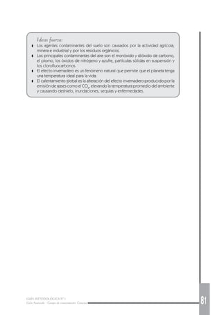 GUÍA METODOLÓGICA Nº 1
Ciclo Avanzado - Campo de conocimiento: Ciencias 81
Ideas fuerza:
❚ Los agentes contaminantes del suelo son causados por la actividad agrícola,
minera e industrial y por los residuos orgánicos.
❚ Los principales contaminantes del aire son el monóxido y dióxido de carbono,
el plomo, los óxidos de nitrógeno y azufre, partículas sólidas en suspensión y
los clorofluocarbonos.
❚ El efecto invernadero es un fenómeno natural que permite que el planeta tenga
una temperatura ideal para la vida.
❚ El calentamiento global es la alteración del efecto invernadero producido por la
emisión de gases como el CO2
, elevando la temperatura promedio del ambiente
y causando deshielo, inundaciones, sequías y enfermedades.
 