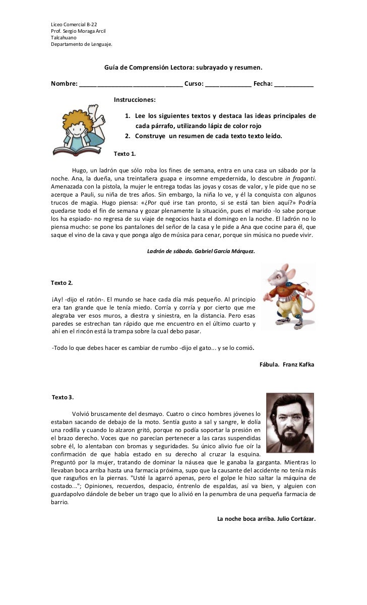 Guia Comprension Lectora