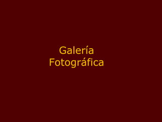 Galería Fotográfica 