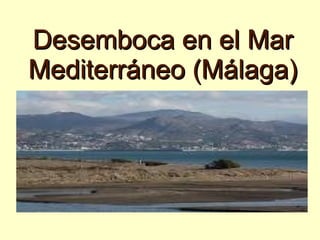 Desemboca en el Mar
Mediterráneo (Málaga)
 