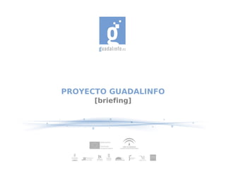 PROYECTO GUADALINFO
      [briefing]
 
