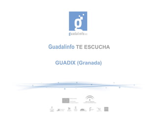 Guadalinfo TE ESCUCHA

  GUADIX (Granada)
 