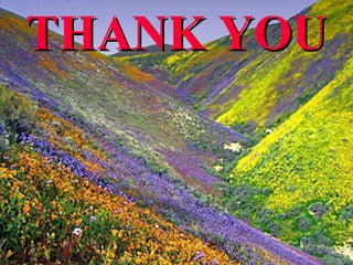 THANK YOU



       AIU SG – DGD 2007-08   66
 