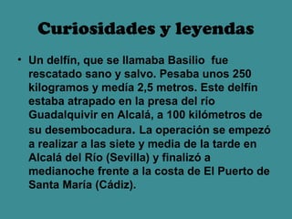 Curiosidades y leyendas
• Un delfín, que se llamaba Basilio fue
  rescatado sano y salvo. Pesaba unos 250
  kilogramos y medía 2,5 metros. Este delfín
  estaba atrapado en la presa del río
  Guadalquivir en Alcalá, a 100 kilómetros de
  su desembocadura. La operación se empezó
  a realizar a las siete y media de la tarde en
  Alcalá del Río (Sevilla) y finalizó a
  medianoche frente a la costa de El Puerto de
  Santa María (Cádiz).
 