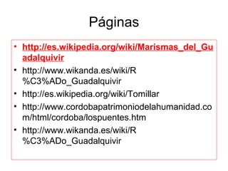 Páginas
• http://es.wikipedia.org/wiki/Marismas_del_Gu
  adalquivir
• http://www.wikanda.es/wiki/R
  %C3%ADo_Guadalquivir
• http://es.wikipedia.org/wiki/Tomillar
• http://www.cordobapatrimoniodelahumanidad.co
  m/html/cordoba/lospuentes.htm
• http://www.wikanda.es/wiki/R
  %C3%ADo_Guadalquivir
 