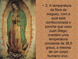 2. A temperatura da fibra de maguey, com a qual está confeccionada o ponche que usou Juan Diego, mantém uma temperatura constante de 36.6 graus, a mesma de um corpo humano vivo.  