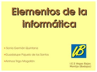 Elementos de la informática ,[object Object],[object Object],[object Object],I.E.S Vegas Bajas Montijo (Badajoz) 