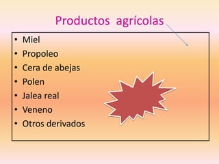 Productos agrícolas
•   Miel
•   Propoleo
•   Cera de abejas
•   Polen
•   Jalea real
•   Veneno
•   Otros derivados
 