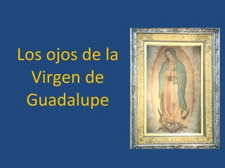 Los ojos de la Virgen de Guadalupe 