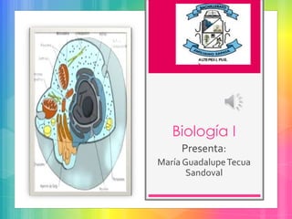 Biología I
Presenta:
María GuadalupeTecua
Sandoval
 