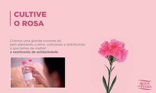 CULTIVE
O ROSA
Criamos uma grande corrente do
bem plantando o amor, cultivando e distribuindo
o que temos de melhor:
o sentimento de solidariedade.
 