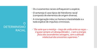 O
DETERMINISMO
RACIAL
 Os cruzamentos raciais enfraquecem a espécie.
 O sertanejo é caso típico de hibridismo racial
(composto de elementos de origem diversa).
 A miscigenação induz os homens à bestialidade e a
toda espécie de impulsos criminosos.
 “De sorte que o mestiço – traço de união entre as raças –
é quase sempre um desequilibrado (...) sem a energia
física dos ascendentes selvagens, sem a altitude
intelectual dos ancestrais superiores.”
 