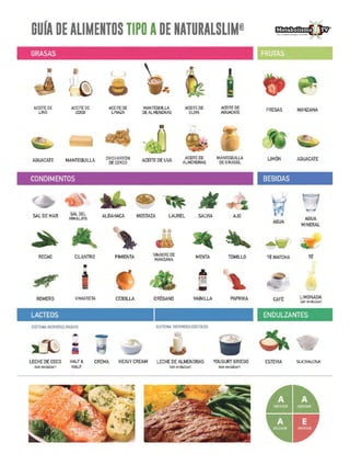 Guía de Alimentos Tipo A y Tipo E.pdf
