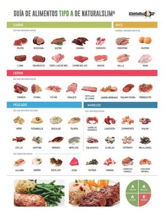 Guía de Alimentos Tipo A y Tipo E.pdf