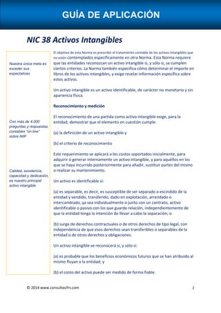 Meta Inatingivel Guía de aplicación NIC 38.pdf