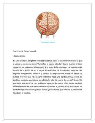 Traumatismo craneal
Tumores de Origen espinal:
-Espina bífida.
Es una condición congénita de la espina dorsal o sea la columna vertebral a la que
a veces se denomina como "hendidura o espina abierta". Ocurre cuando el tubo
neural no se fusiona en algún punto a lo largo de la extensión. La posición más
común de la lesión es en la región toracolumbar de la columna, luego en las
regiones lumbosacras, torácicas y cervical. La espina bífida puede ser desde un
defecto muy leve que no ocasiona problemas hasta una condición muy severa de
parálisis muscular, pérdida de sensibilidad y falta de control de sus esfínteres. Un
porciento alto de niños con problemas severos de espina bífida tienen también
hidrocefalia que es una acumulación de líquido en el cerebro. Esta hidrocefalia se
controla mediante una cirugía que construye un drenaje que aminora la presión del
líquido en el cerebro.
 