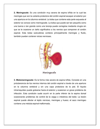 2. Meningocele: Es una condición muy severa de espina bífida en la cual las
meninges que son la cubierta protectora del cordón espinal escapan al exterior por
una apertura en la columna vertebral. La bolsa que contiene esta parte expuesta al
exterior se conoce como meningocele. La bolsa que puede ser tan pequeña como
una tuerca o tan grande como una toronja puede corregirse mediante cirugía sin
que se le ocasione un daño significativo a los nervios que componen el cordón
espinal. Esta bolsa subcutánea contiene principalmente meninges y fluido,
también pueden contener raíces nerviosas.
3. Mielomeningocele: Es la forma más severa de espina bífida. Consiste en una
protuberancia de los nervios internos del cordón espinal a través de una apertura
en la columna vertebral y sin una capa protectora de la piel. El líquido
intrarraquídeo puede gotearse hacia el exterior y ocasionar un grave problema de
infección. Esta condición suele ocurrir en la parte inferior de la espina dorsal
ocasionando problemas de control de la vejiga e intestinos del bebé. La lesión
espinal puede afectar al tejido nervioso, meninges y hueso; el saco meníngeo
contiene una médula espinal malformada.
 