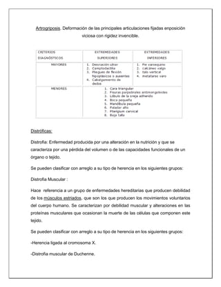 Artrogriposis. Deformación de las principales articulaciones fijadas enposición
viciosa con rigidez invencible.
Distróficas:
Distrofia: Enfermedad producida por una alteración en la nutrición y que se
caracteriza por una pérdida del volumen o de las capacidades funcionales de un
órgano o tejido.
Se pueden clasificar con arreglo a su tipo de herencia en los siguientes grupos:
Distrofia Muscular :
Hace referencia a un grupo de enfermedades hereditarias que producen debilidad
de los músculos estriados, que son los que producen los movimientos voluntarios
del cuerpo humano. Se caracterizan por debilidad muscular y alteraciones en las
proteínas musculares que ocasionan la muerte de las células que componen este
tejido.
Se pueden clasificar con arreglo a su tipo de herencia en los siguientes grupos:
-Herencia ligada al cromosoma X.
-Distrofia muscular de Duchenne.
 